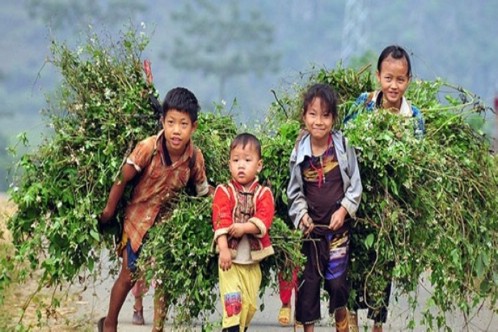 SAPA 3 DAYS 2 NIGHTS – 1 NIGHT IN HOTEL AND 1 NIGHT IN BUNGALOW
